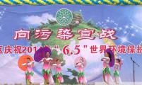 零陵区庆祝2014年6·5世界环境保护日